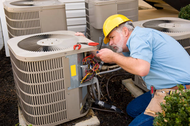 Best HVAC Air Duct Cleaning  in Taylor, AZ